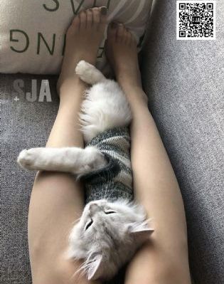 国产极品视频一言九鼎第二集_高清点播免费观看最新