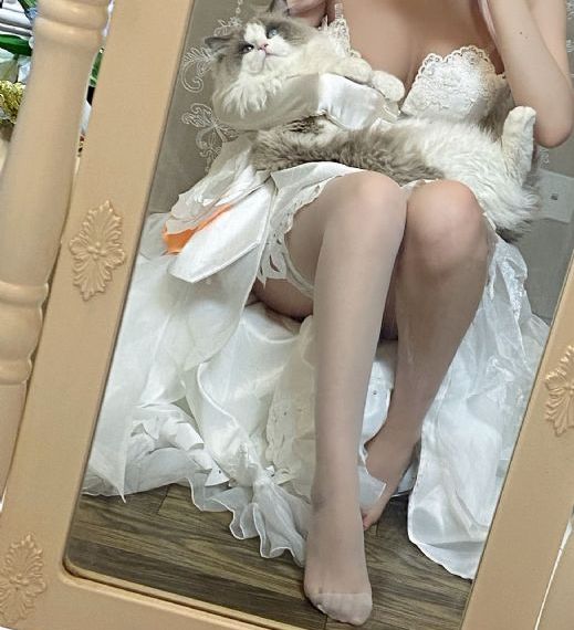 经典欧美的英文歌_免VIP免费在线观看